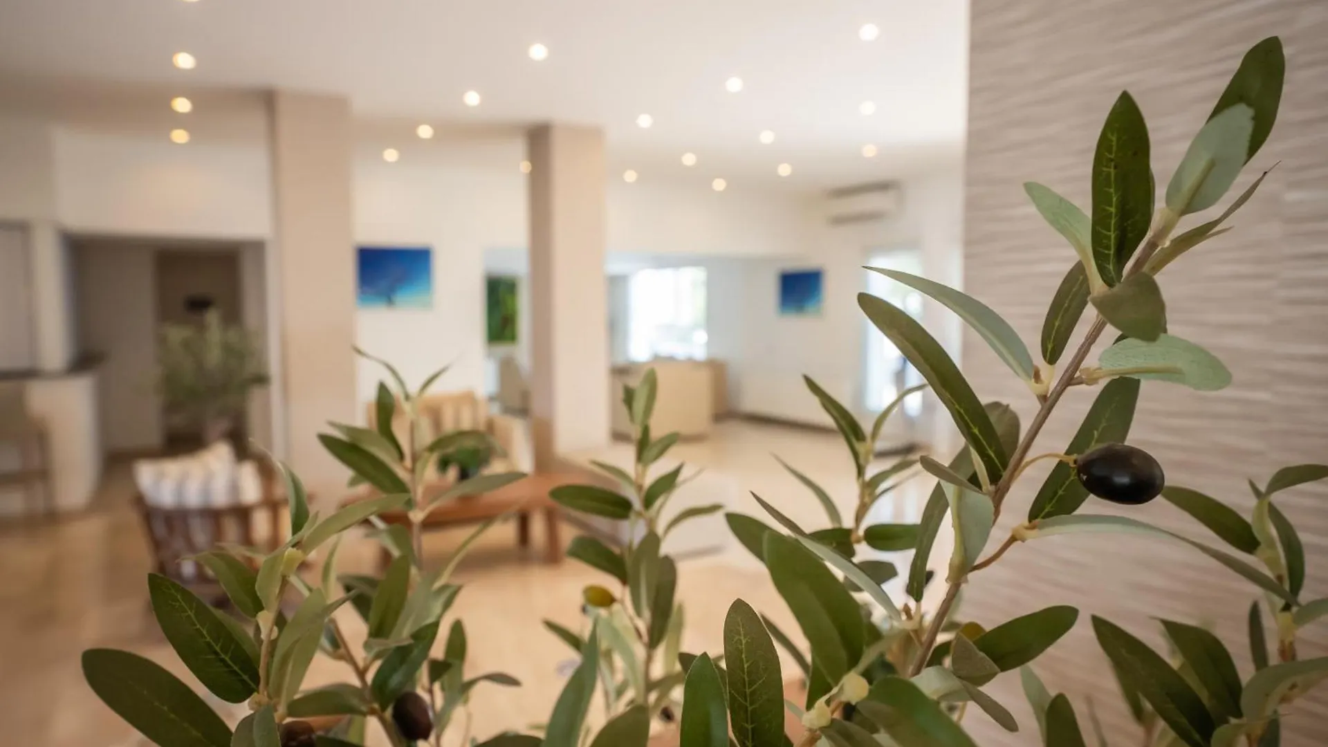 Lejlighedshotel Liquid Hotel Apartments Ayia Napa